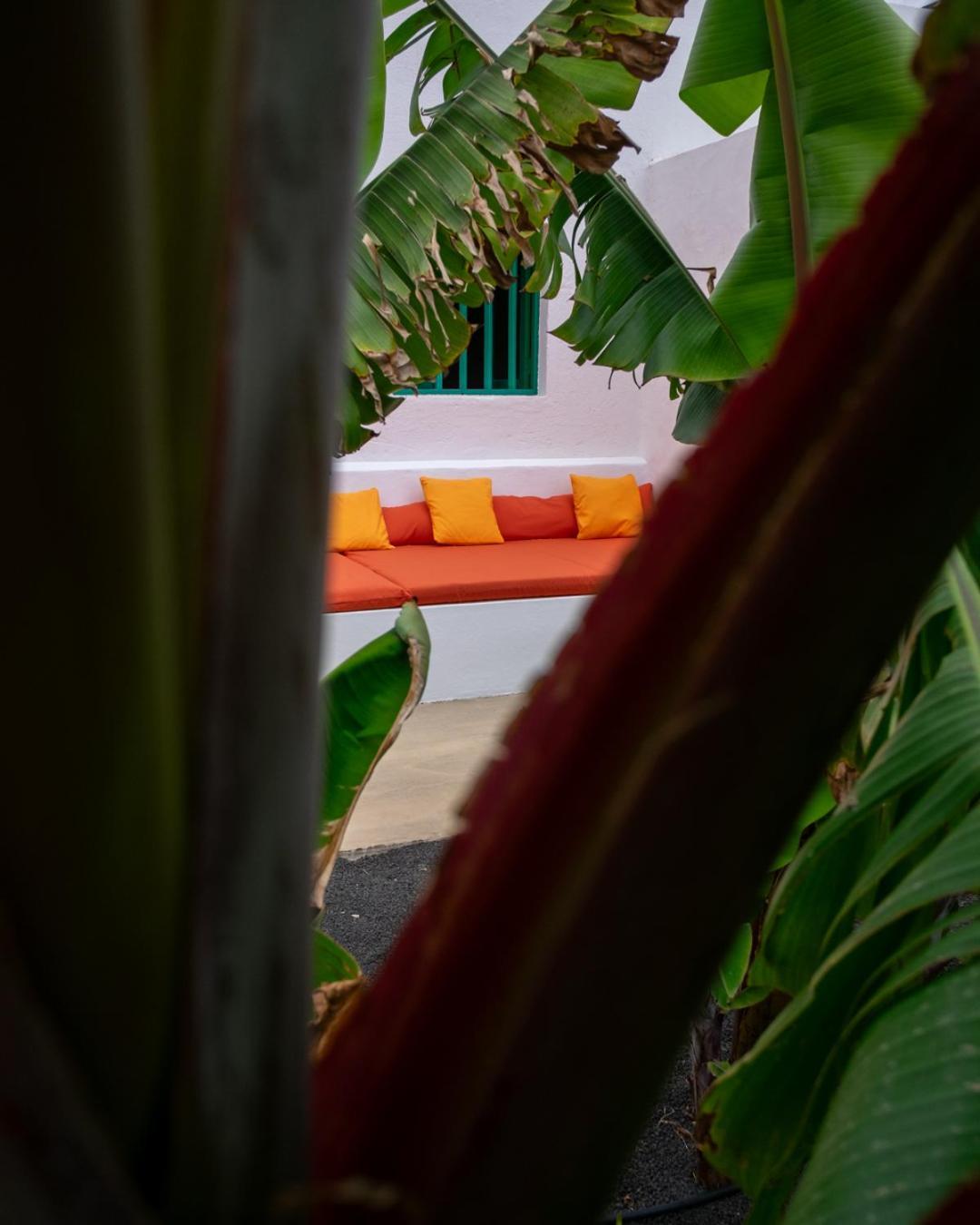 Hektor - Farm, Arts & Suites Teguise  Exterior photo